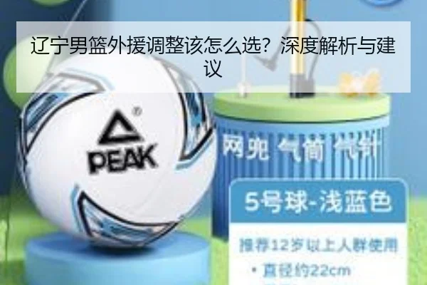 辽宁男篮外援调整该怎么选？深度解析与建议