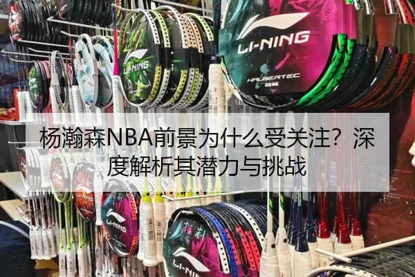 杨瀚森NBA前景为什么受关注？深度解析其潜力与挑战